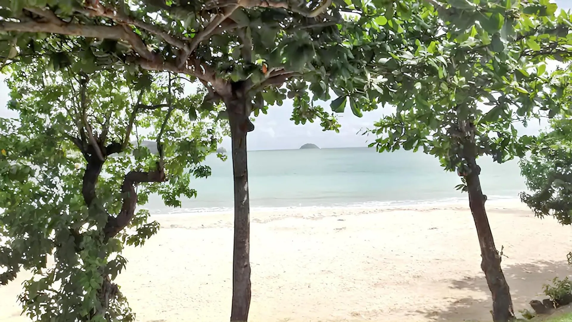 Appartement Charmant Avec Vue Sur Mer A La Trinite 65 M²